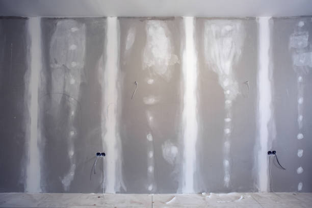 Best Fire-Damaged Drywall Repair  in Woodbine, IA